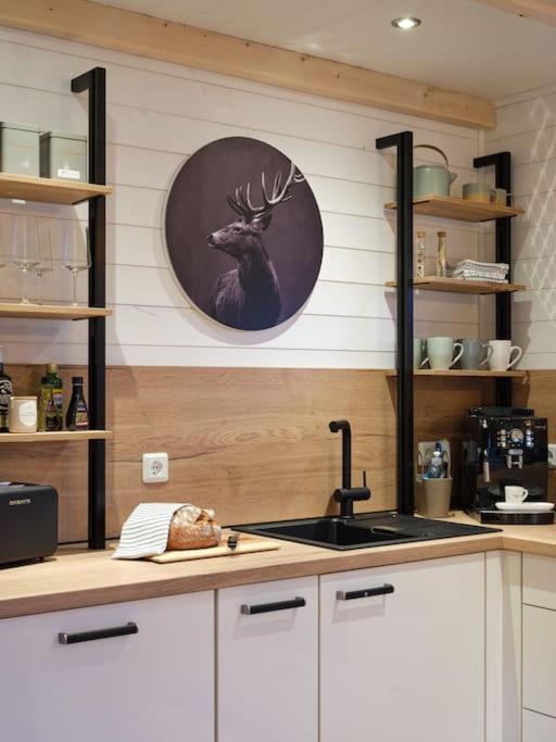 Chalet In Koeln - Tinyhouse Buitenkant foto